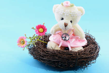 Nest with a Teddy Bear on a blue backgroundの写真素材