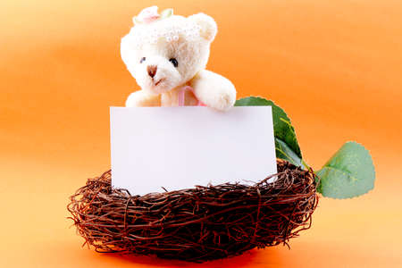 Nest with a blank white card and teddy bear on an orange backgroundの写真素材