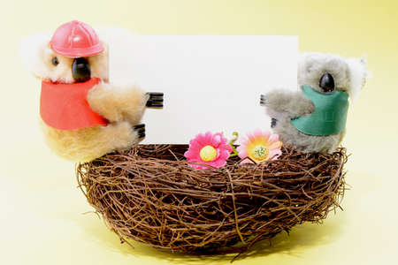 Two toy koala holding a blank white card on a yellow backgroundの写真素材