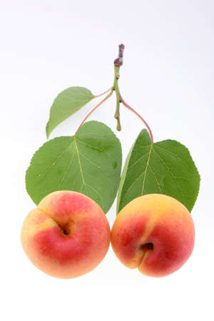 Ripe apricot on a white backgroundの写真素材