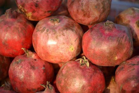 Red Pomegranate fruits
