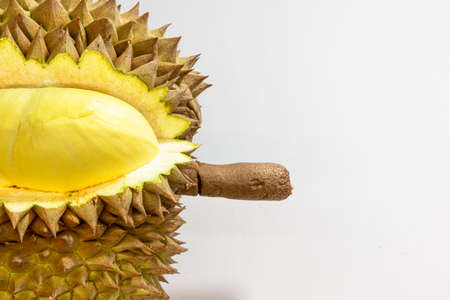 Mon Thong Durian thai fruit nickname king of fruits foreigners like very much. Yellow in side Out...