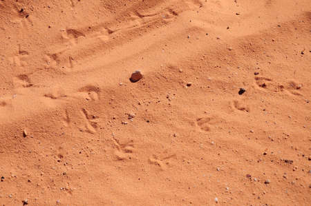 sandy background