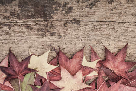 template with dried autumn leaves on wooden surface