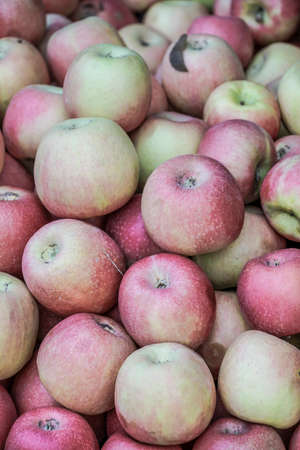 Fresh apples as a background