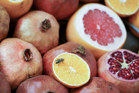 fruit background with pomegranate and oranges with a bee on itの写真素材