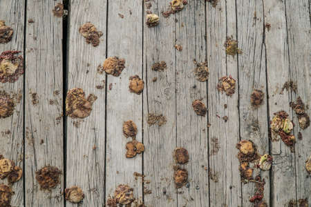 rotten figs on wooden background