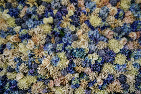 Blurred floral background with selective focus on the front part of flowersの写真素材