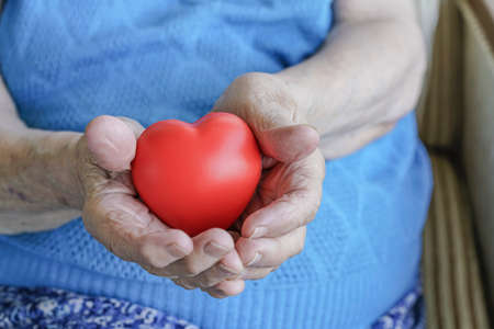 closeup wrinkled hands of a senior woman holding a red heartの写真素材