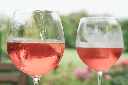 Wine glasses at garden in summer