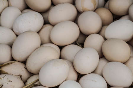 Raw chicken eggs for sale at a farmers marketの写真素材