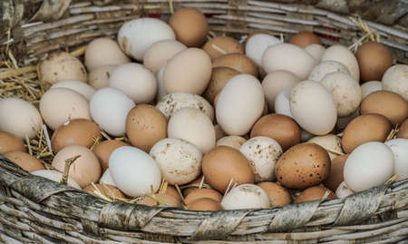 Raw dirty chicken eggs in a basket for sale at a farmers market