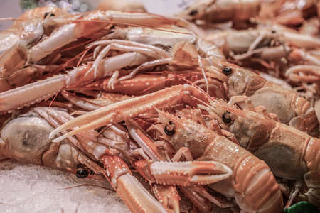 Small crayfish to be sold in a fish marketの写真素材