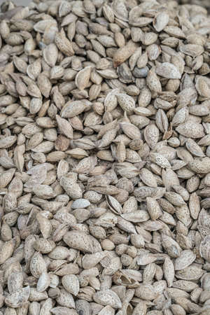 Shelled almonds as a background at market