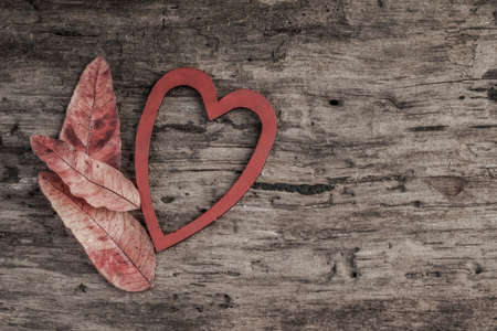 autumn leaves and red heart on wooden table with copy spaceの写真素材