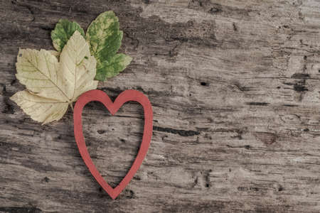 autumn leaves and red heart on wooden table with copy spaceの写真素材