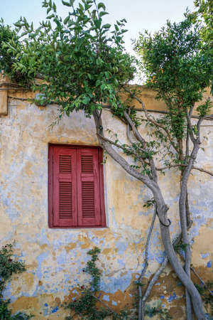 Closed window blind of an old building surrounded by plantの写真素材