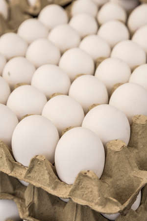 Raw white eggs in carton displays for sale in a food market