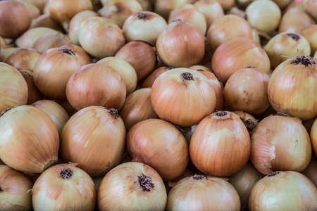 pile of onion bulbs as a background at marketの写真素材