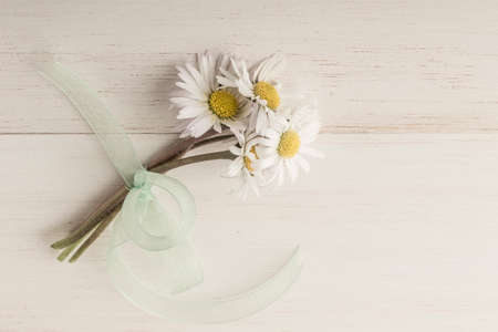 daisy flowers on wooden background with copy space