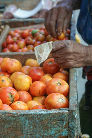Male hand holding money against tomatoes in an open market in Cubaのeditorial素材