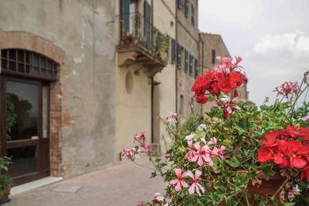 Colorful spring flowers against buildings in Tuscany,  Italyのeditorial素材