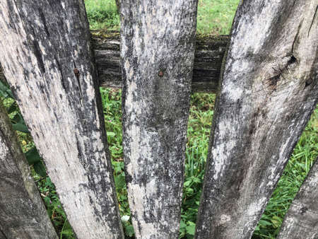 An aged wooden fence as a backgroundの写真素材