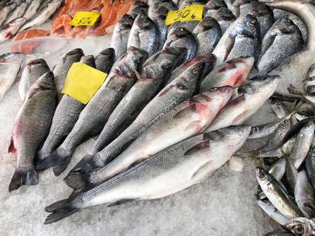 Variety of raw fishes on market with price labels on them