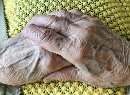 Closeup wrinkled hands of a senior personの写真素材
