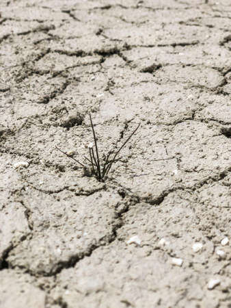 background with a cracked earthの写真素材