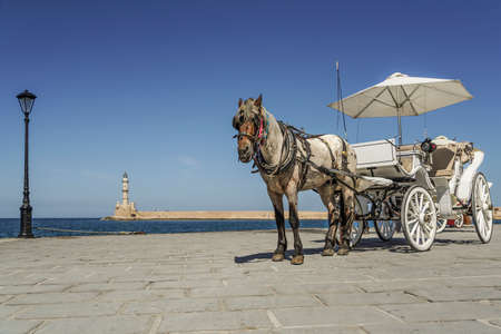 A white horse cart by sea in the center of Crete Island in Greece.の写真素材