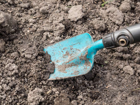 digging with a shovel in garden