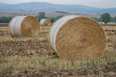 dried straw bales on a field in Italy