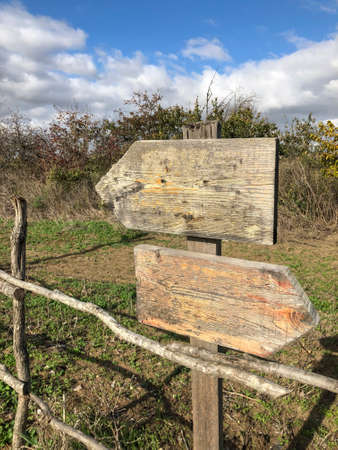 Wooden direction signs with copy space at garden in a sunny day