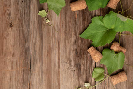 grape leaves and wine bottle corks on a wooden backgroundの写真素材
