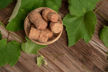 grape leaves and wine bottle corks on a wooden backgroundの写真素材