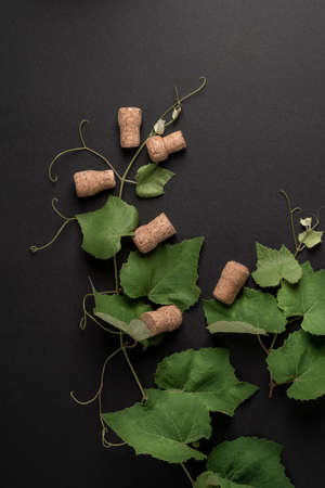 natural background with green grape leaves and bottle corks on blackの写真素材
