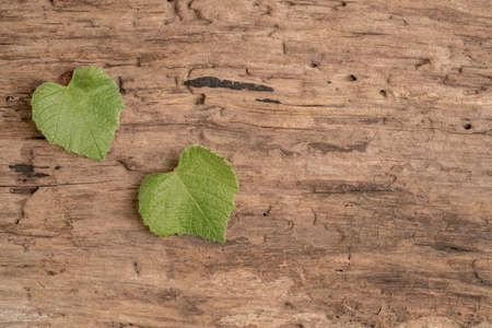 heart shaped grape leaves on a wooden background with copy space