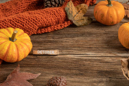 template for october with dried leaves and pumpkins on wooden background