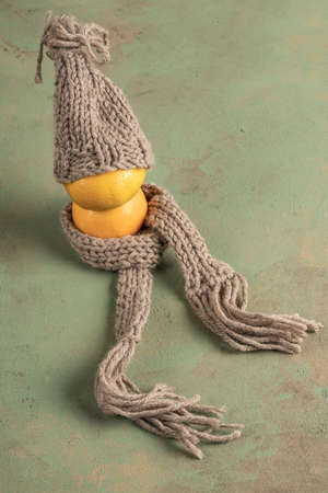 tangerine fruits wearing knitted hat and scarf on green with copy space