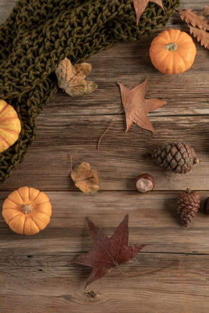 wooden table decorated with pumpkins, cones and dried autumn leavesの写真素材