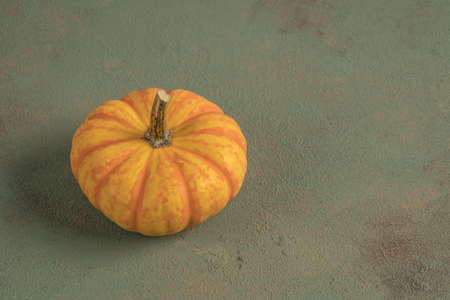 closeup small pumpkin on green with copy space