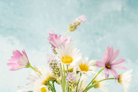colorful bouquet of spring flowers against soft blue background with copy spaceの写真素材