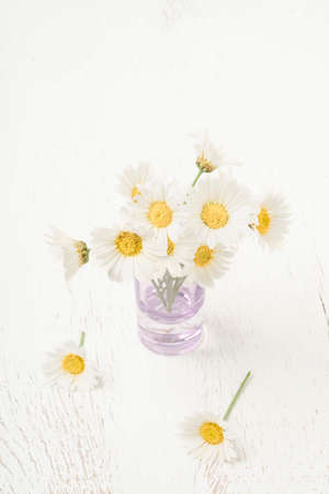 beautiful daisy flowers in a vase on a wooden table with copy spaceの写真素材