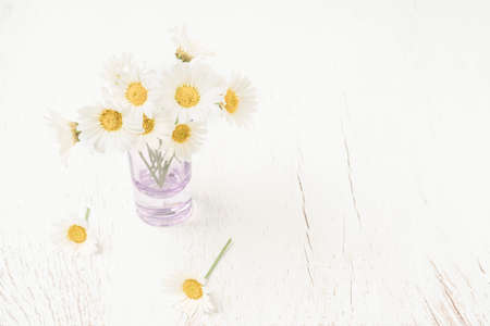 beautiful daisy flowers in a vase on a wooden table with copy spaceの写真素材