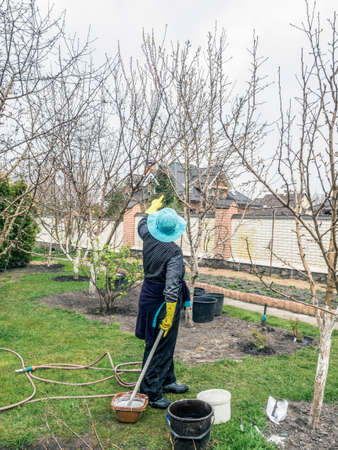 A senior woman taking care of trees on her garden to prepare for springの写真素材