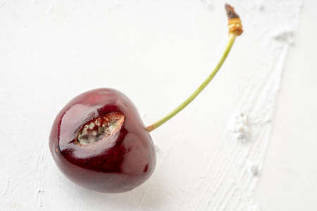 closeup of mouldy cherry fruit on a white background with copy spaceの写真素材