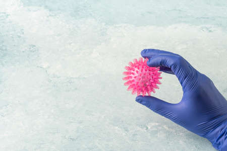 hand in latex glove holding a pink corona virus model on blue with copy spaceの写真素材