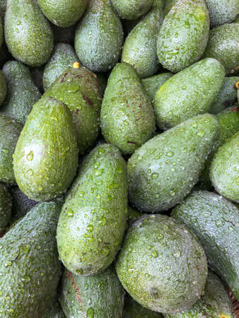 pile of green ripe avocados with water drops on them, as a background