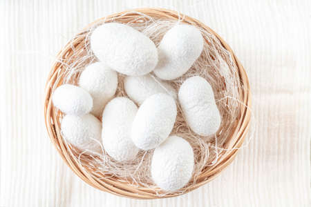white silkworm cocoons shells, source of silk fabric in the basket